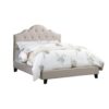 Sireen Era Serene Arch Tufted Queen Bed